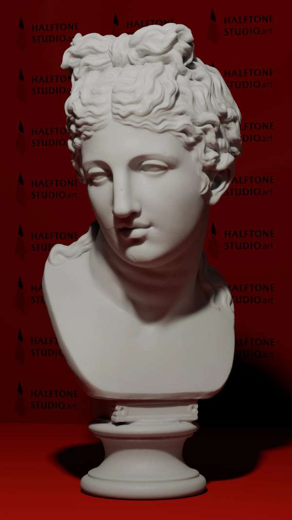Bust of a Woman