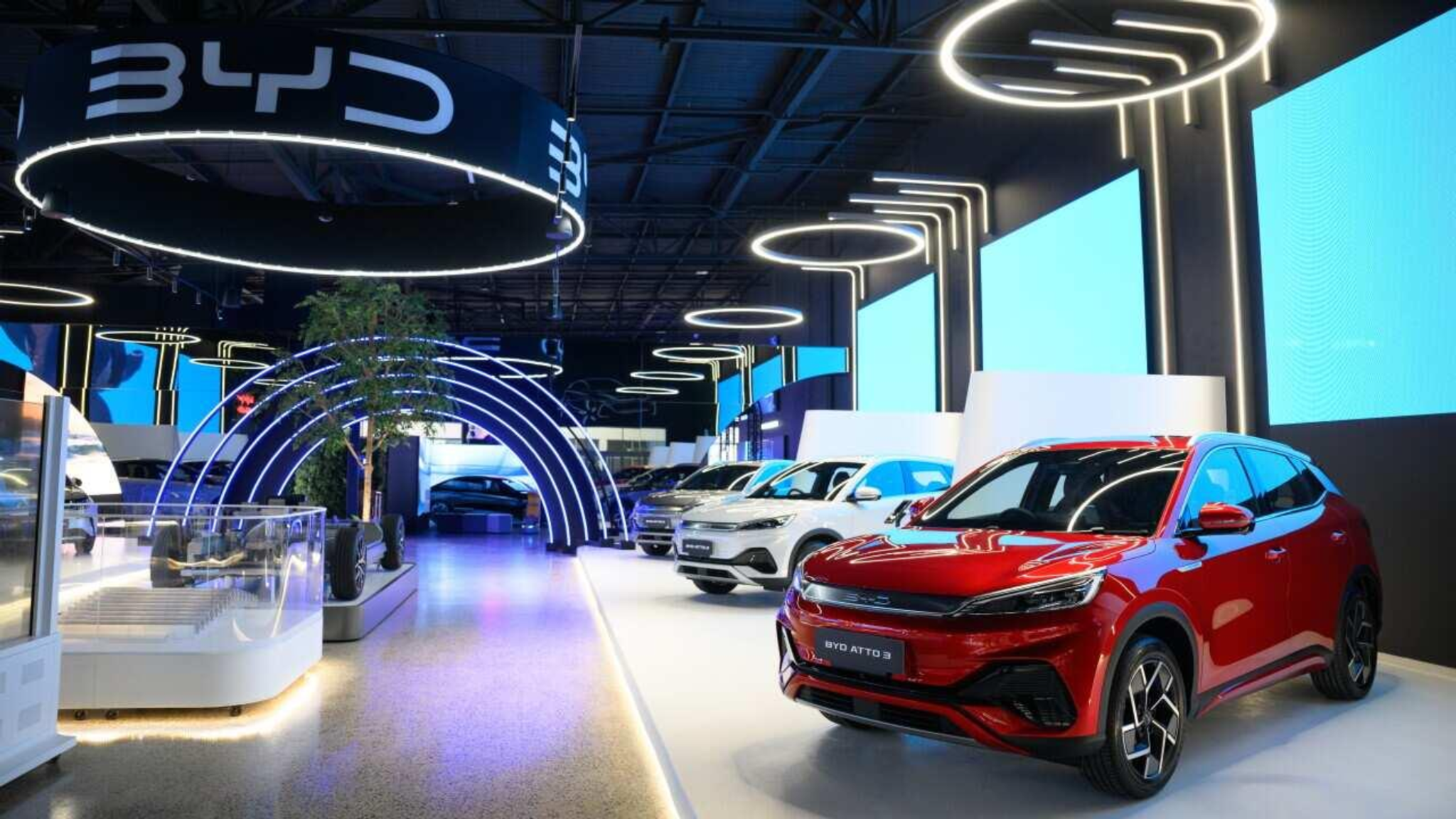 BYD electric vehicles on display at an Australian BYD dealership