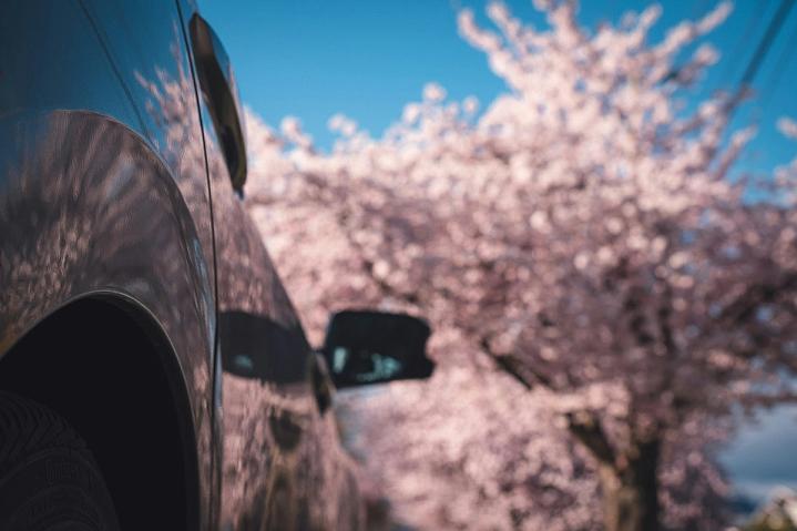 Best Time to Buy a Car: Spring Sales vs. Year-End Clearance