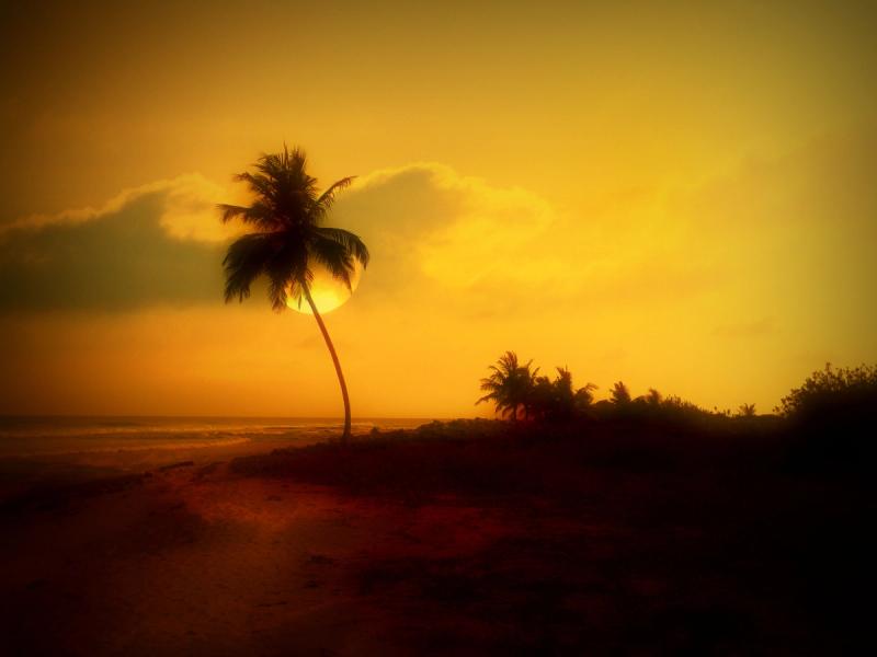 Blog Post Image