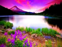 Simple Ways to Respect and Save Nature Every Day