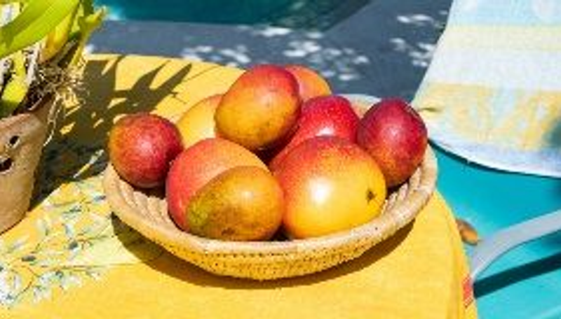 Blog Post Image