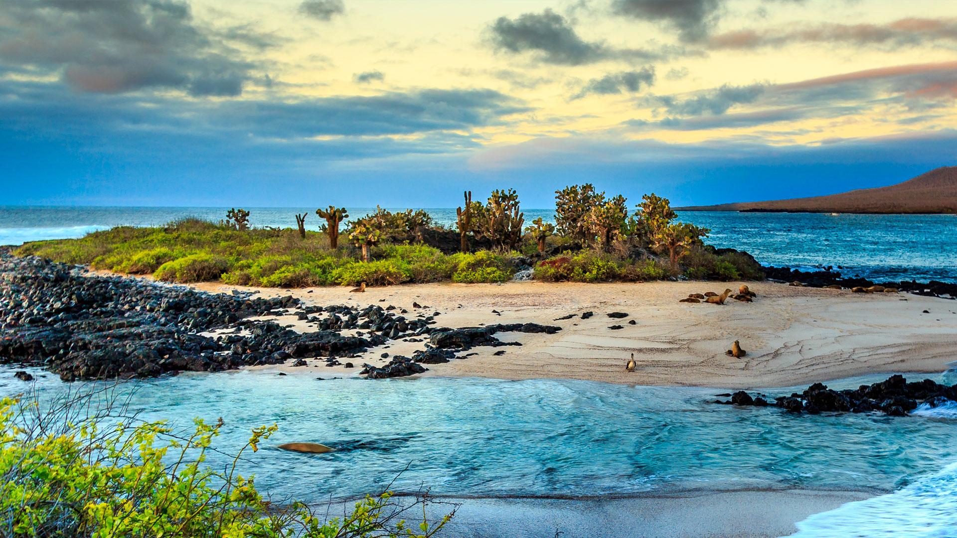 Galapagos 2025 Guide: Plan Your Ultimate Wildlife Paradise Trip by Anya Sharma Galapagos 2025 Guide: Plan Your Ultimate Wildlife Paradise Trip by Anya Sharma