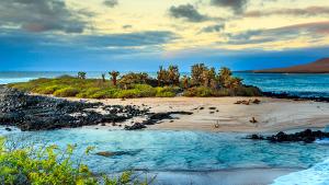 Galapagos 2025 Guide: Plan Your Ultimate Wildlife Paradise Trip by Anya Sharma on AllBlogs