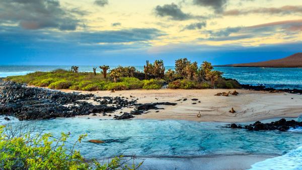 Galapagos 2025 Guide: Plan Your Ultimate Wildlife Paradise Trip by Anya Sharma on AllBlogs