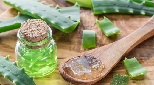 The Ultimate Guide to Aloe Vera : Aloe here ! by Komal patel The Ultimate Guide to Aloe Vera : Aloe here ! by Komal patel