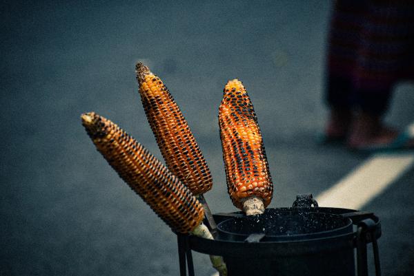 Explore Assam's Food Delights with AllBlogs by Vishruti Patel  on AllBlogs