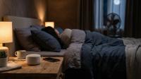White Noise Machine vs App vs Fan: What Should You Buy for Better Sleep?