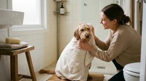 How Often Should You Bathe a Dog With Itchy Skin? by Aditi Rao on AllBlogs