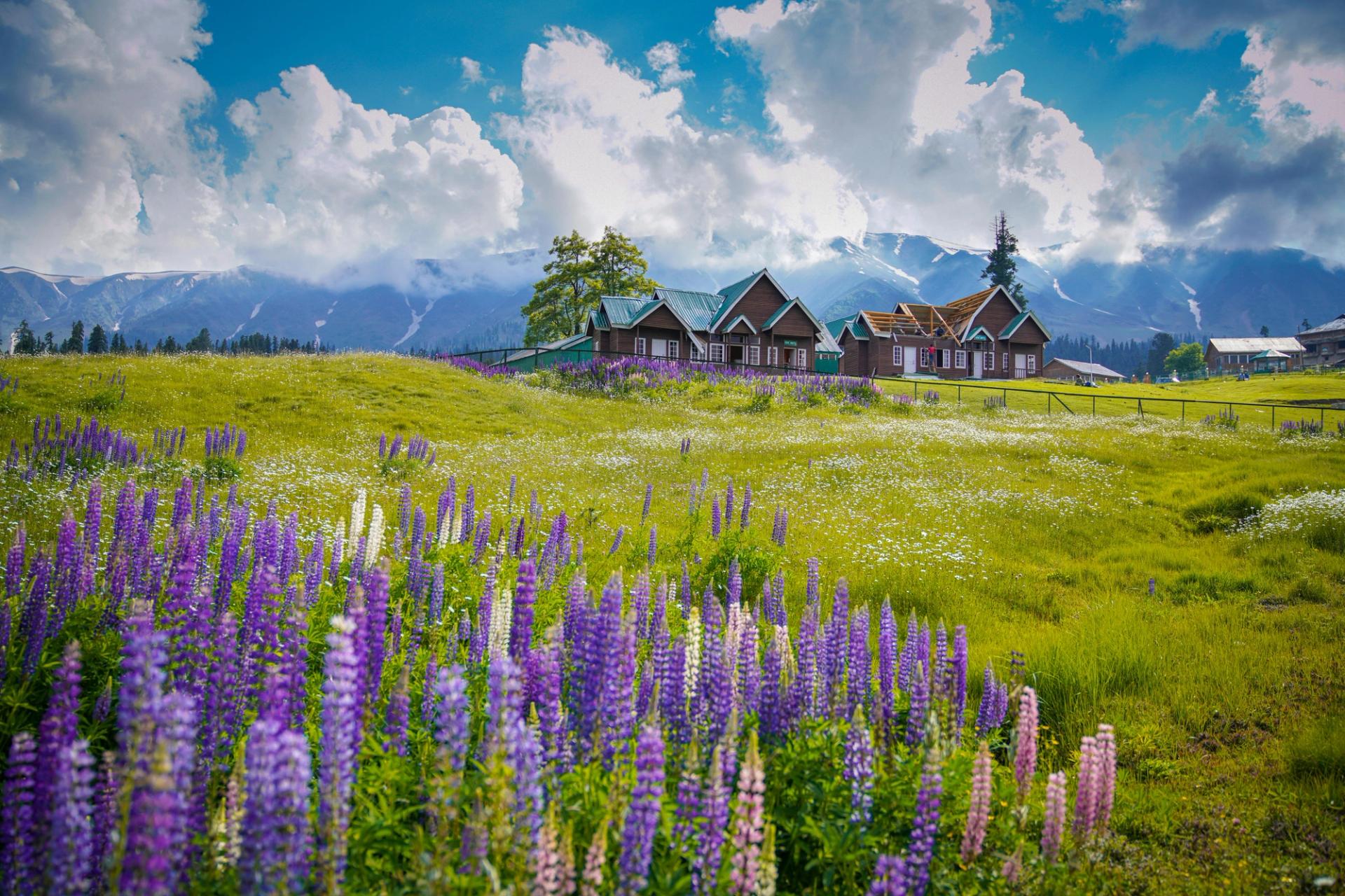 Gulmarg in Summer: Your Guide to Paradise Beyond the Snow by Sage Wanderlust on AllBlogs