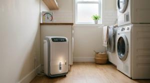 Dehumidifier Maintenance Checklist: Tank, Filter and Drain Hose Care by Maya Iyer on AllBlogs