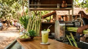 Is Street Sugarcane Juice Safe in Indian Summer? Hygiene Checks Before You Drink by Sanjeev Kapur on AllBlogs