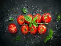 A world without Tomatoes is like a string quartet without violins