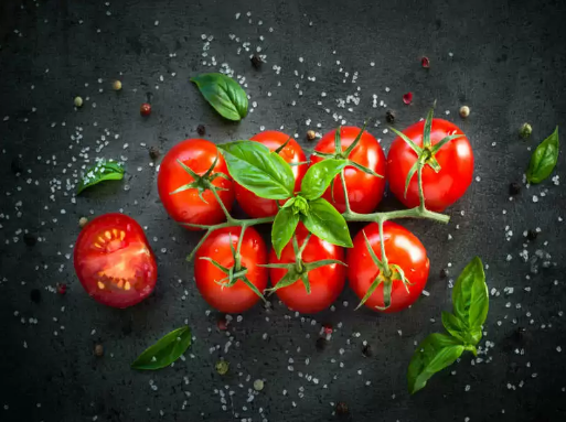 A world without Tomatoes is like a string quartet without violins by Komal patel A world without Tomatoes is like a string quartet without violins by Komal patel