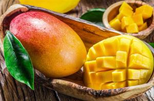 Mango: The King of Fruits - Varieties, Benefits & More by Komal patel  on AllBlogs