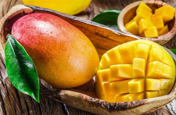 Mango: The King of Fruits - Varieties, Benefits & More by Komal patel  on AllBlogs