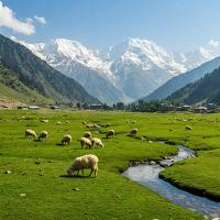 Aru Valley & Pahalgam: Offbeat Trekking Trails Beyond Betaab