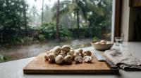 Can You Eat Mushrooms in Monsoon? Cleaning, Cooking and Spoilage Safety