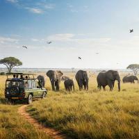 Kruger Safari 2025 Guide: Unfiltered Tips for First-Timers