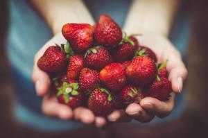 Explore Mizoram's Food Traditions and Tales | AllBlogs by Hetvi Patel on AllBlogs