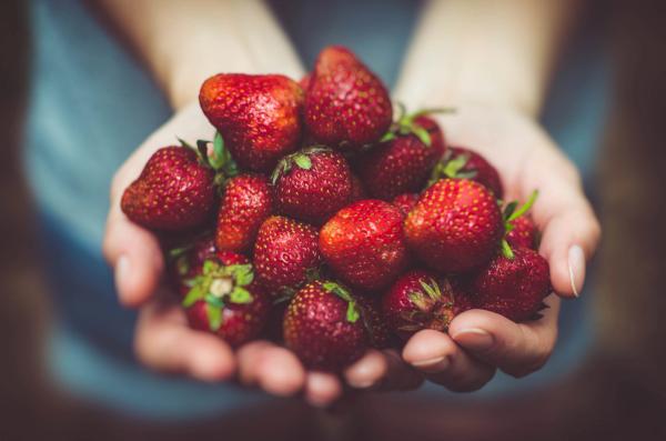 Explore Mizoram's Food Traditions and Tales | AllBlogs by Hetvi Patel on AllBlogs