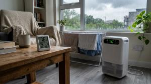 Humidity Meter vs Dehumidifier: What Should You Use First in a Damp Room? by Maya Iyer on AllBlogs Humidity Meter vs Dehumidifier: What Should You Use First in a Damp Room? by Maya Iyer on AllBlogs