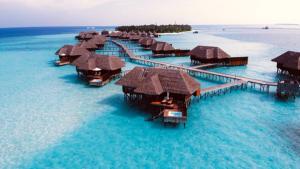 Maldives vs Lakshadweep: A Comprehensive Travel Comparison by Astra Voyager on AllBlogs
