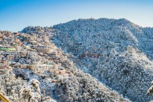 Shimla vs Manali: Which Himachal Destination is Right for You? by Astra Voyager on AllBlogs