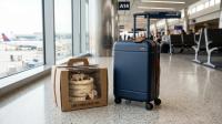 Can You Bring Cake on a Plane? Frosting, Cream, and Packing Rules