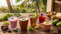 Maharashtra Drinks Guide: Solkadhi, Taak, Piyush, Panhe and What to Sip When