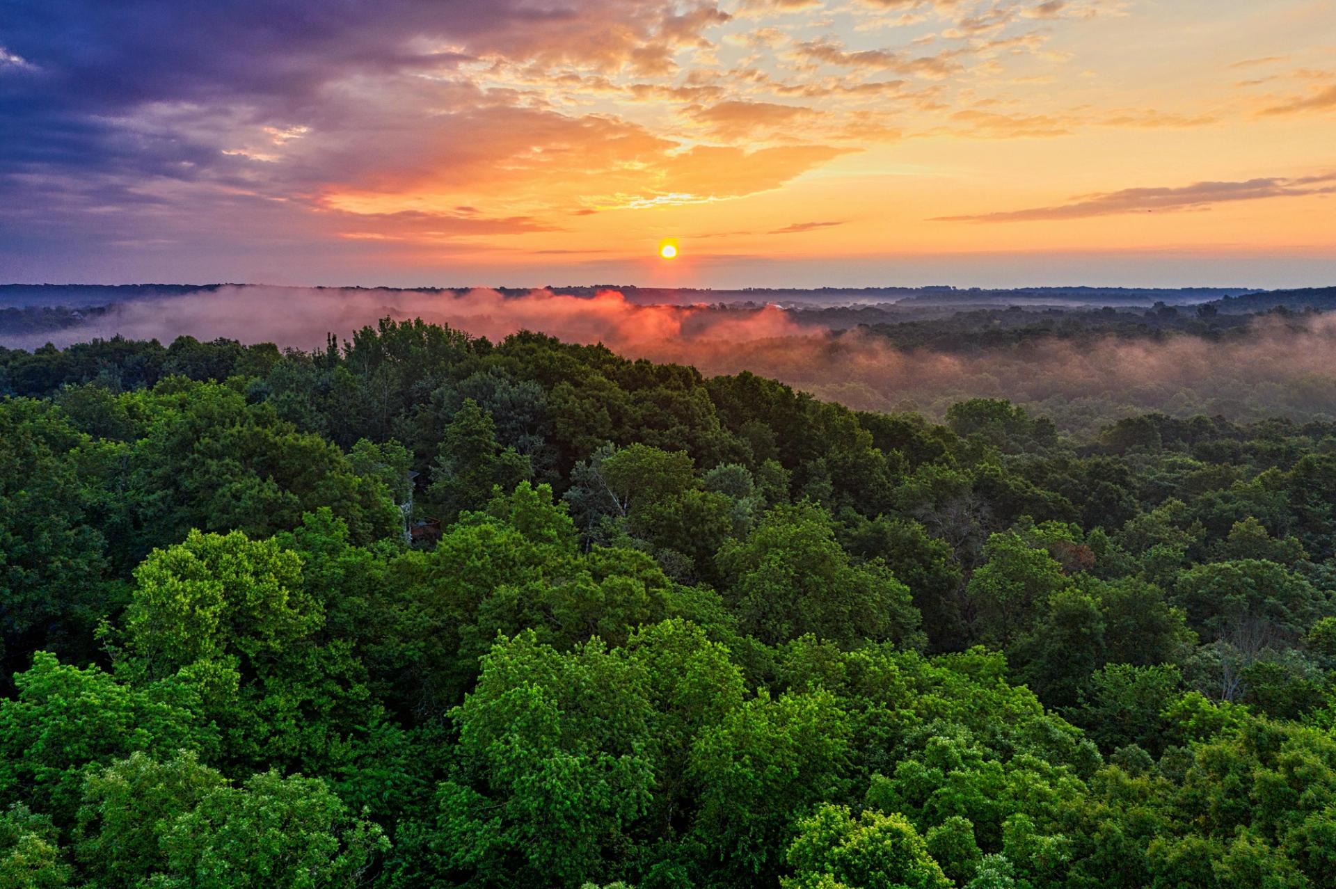Amazon Rainforest Tour Brazil: A Wild Adventure Guide by Astra Voyager