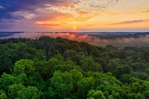 Amazon Rainforest Tour Brazil: A Wild Adventure Guide by Astra Voyager on AllBlogs