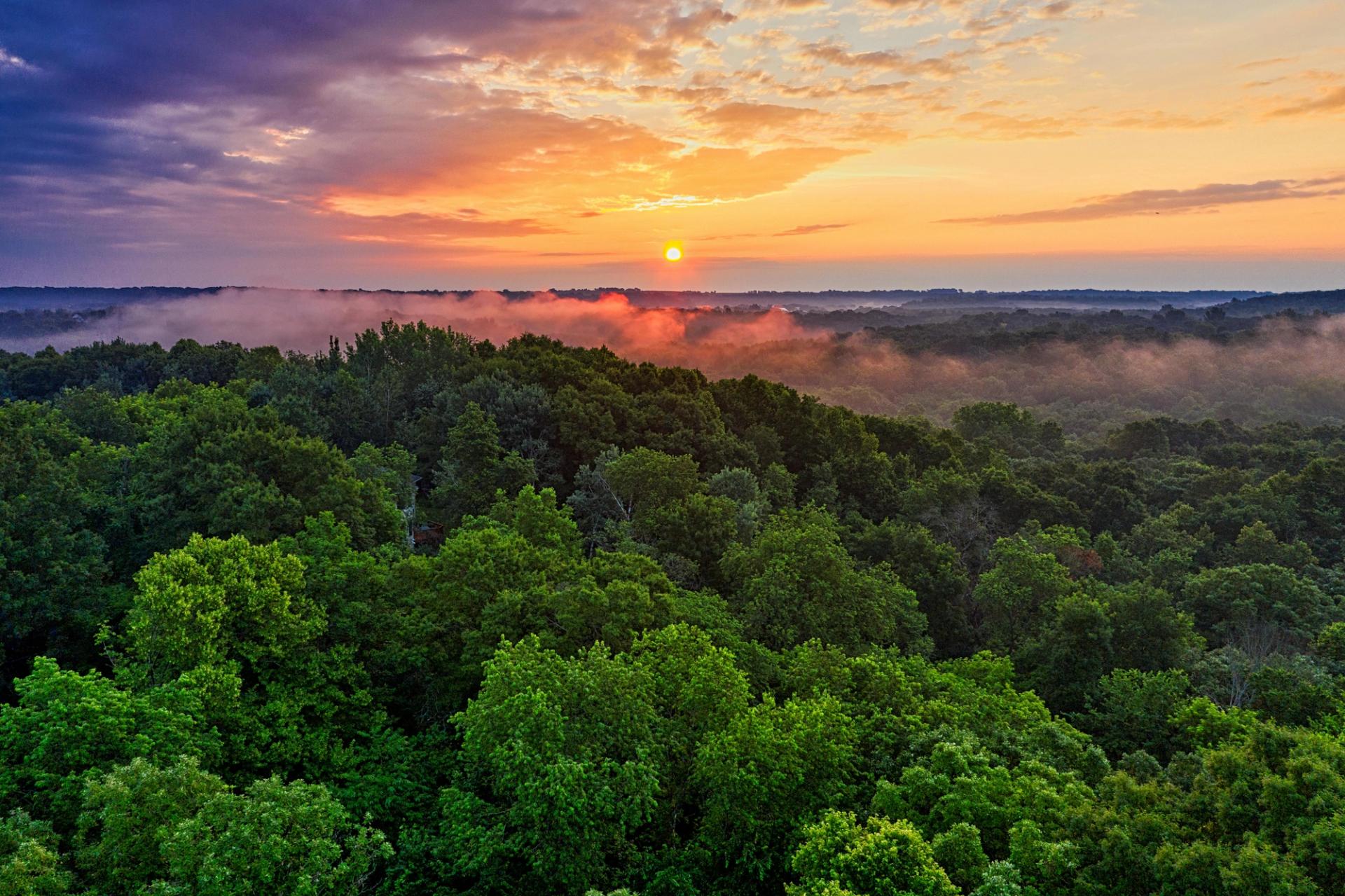Amazon Rainforest Tour Brazil: A Wild Adventure Guide by Astra Voyager Amazon Rainforest Tour Brazil: A Wild Adventure Guide by Astra Voyager