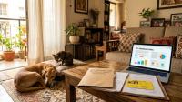 Pet Insurance in India: What Dog and Cat Parents Should Check Before Buying