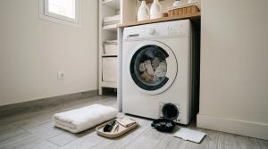 Washing Machine Filter Cleaning Checklist: Drain Pump, Lint Filter and Smell Fixes by Arjun Rao on AllBlogs