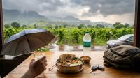 Nashik Vineyard Food in Monsoon: Meals, Water and Safe Driving