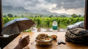 Nashik Vineyard Food in Monsoon: Meals, Water and Safe Driving by Bhavya Bhut on AllBlogs