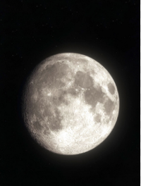 The queen of the night - Moon