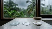 Moisturizer for Humid Weather: Gel, Lotion or Cream?