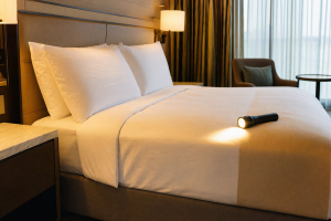How to Check a Hotel Room for Bed Bugs Before Unpacking by Naina Kapoor on AllBlogs