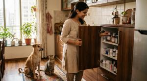 Can I Give Paracetamol to My Dog or Cat? A Vet-Safe Guide for Indian Pet Parents by Aditi Rao on AllBlogs