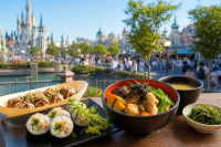 Japan Theme Park Vegetarian Food Guide for Indians