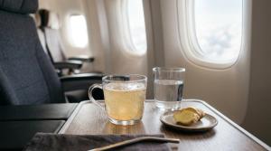 Ginger Ale on Flights: Helps Nausea or Makes Bloating Worse? by Anya Sharma on AllBlogs