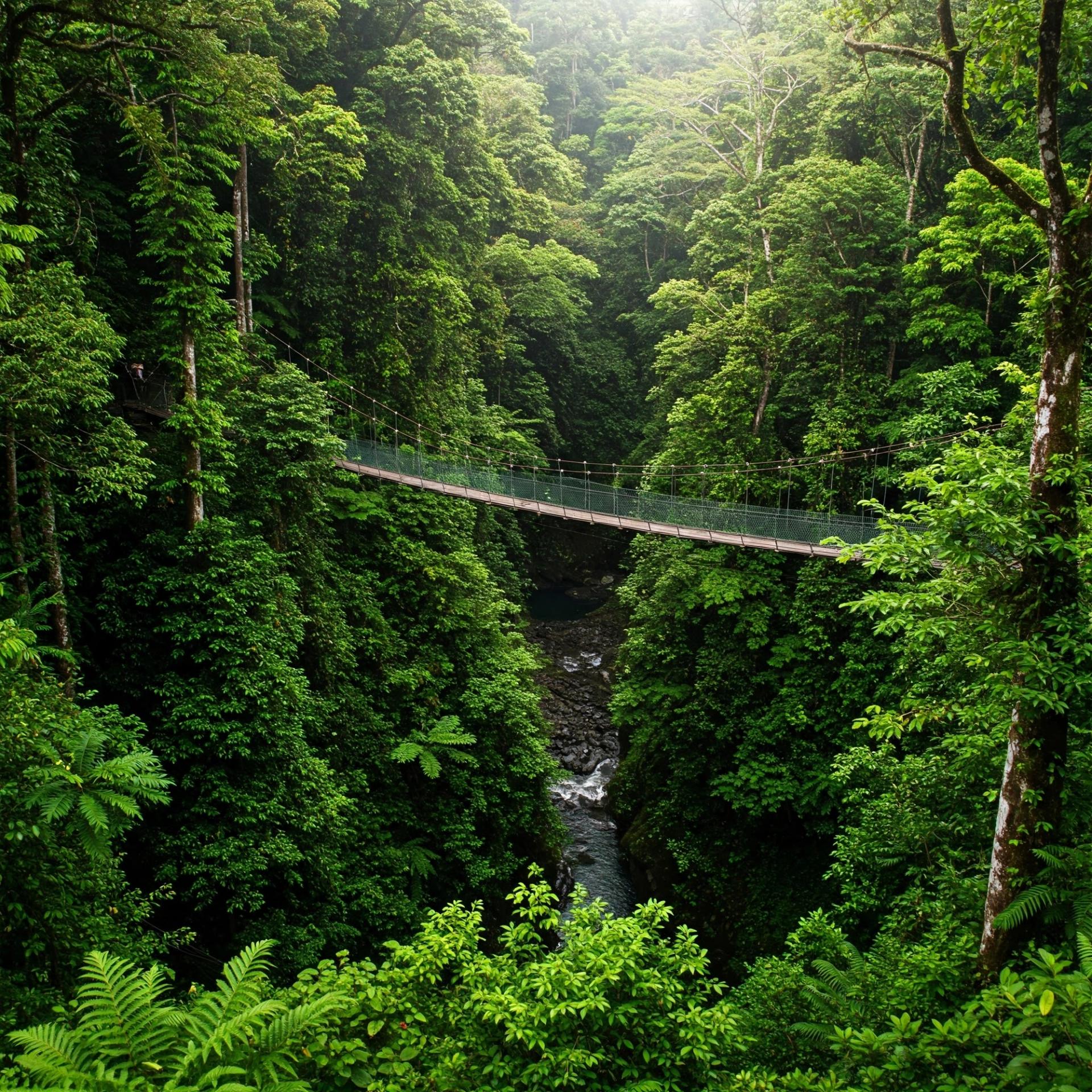 Costa Rica Rainforests: Your Guide to Jungles & Waterfalls by Anya Sharma Costa Rica Rainforests: Your Guide to Jungles & Waterfalls by Anya Sharma