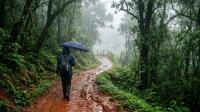 Matheran in July: Toy Train, Rainy Walks and Car-Free Weekend Tips