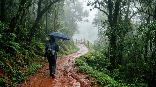 Matheran in July: Toy Train, Rainy Walks and Car-Free Weekend Tips by Sage Wanderlust on AllBlogs