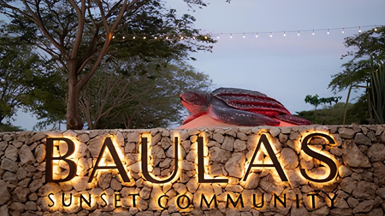 Baulas