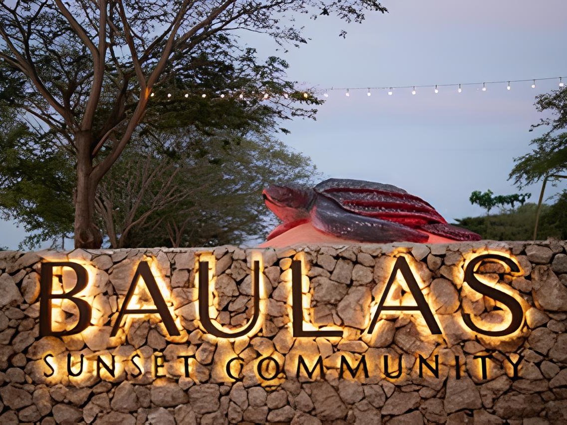 Baulas