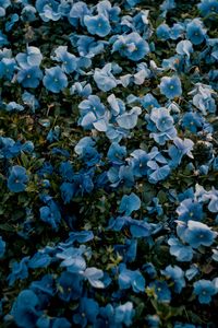 user-post
