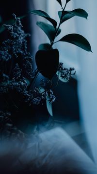 user-post